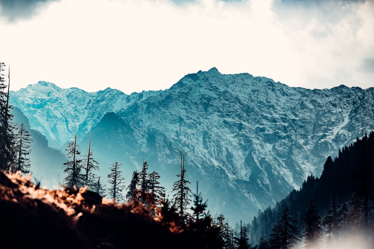 langtang gallery 2